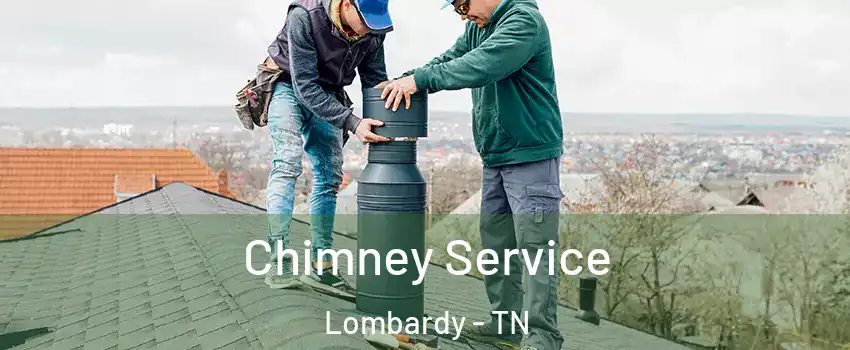 Chimney Service Lombardy - TN