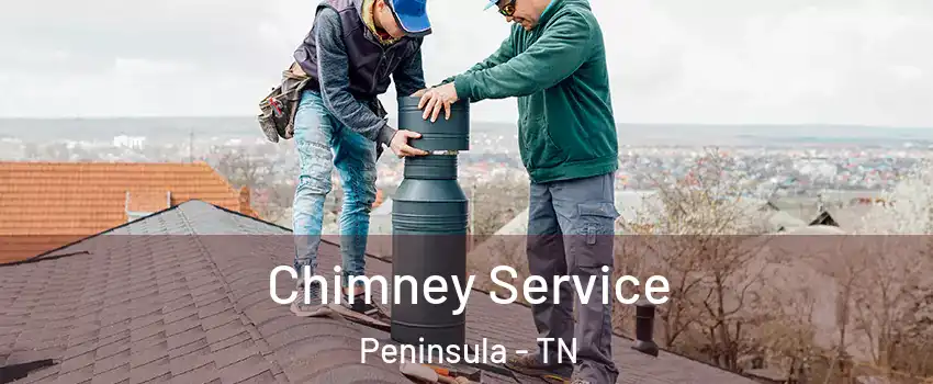 Chimney Service Peninsula - TN