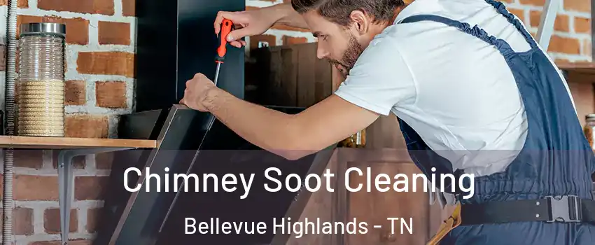 Chimney Soot Cleaning Bellevue Highlands - TN