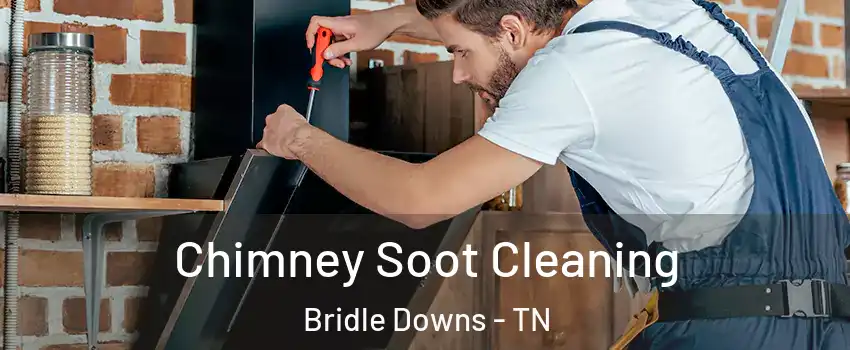 Chimney Soot Cleaning Bridle Downs - TN