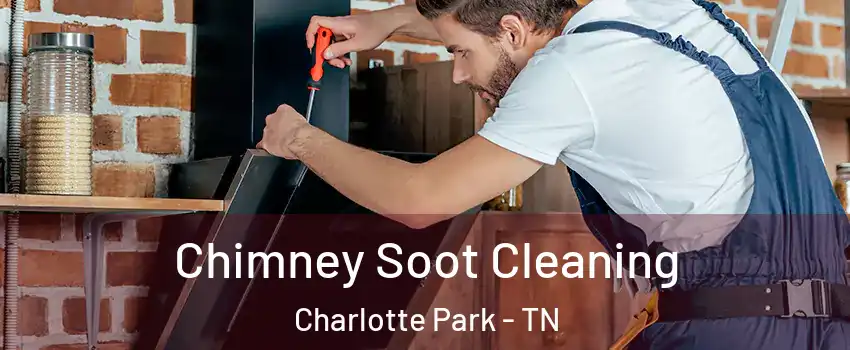 Chimney Soot Cleaning Charlotte Park - TN