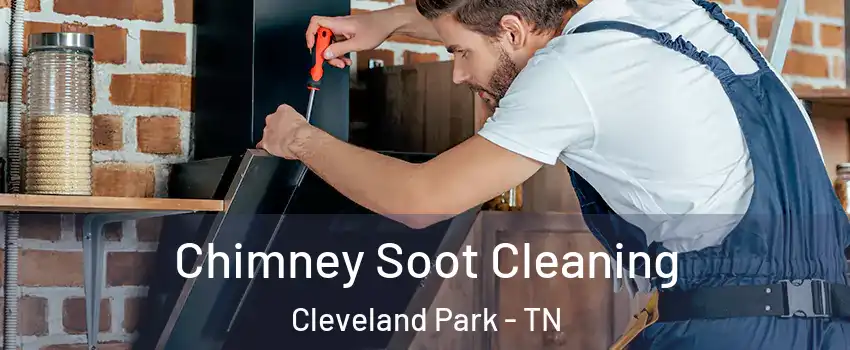 Chimney Soot Cleaning Cleveland Park - TN