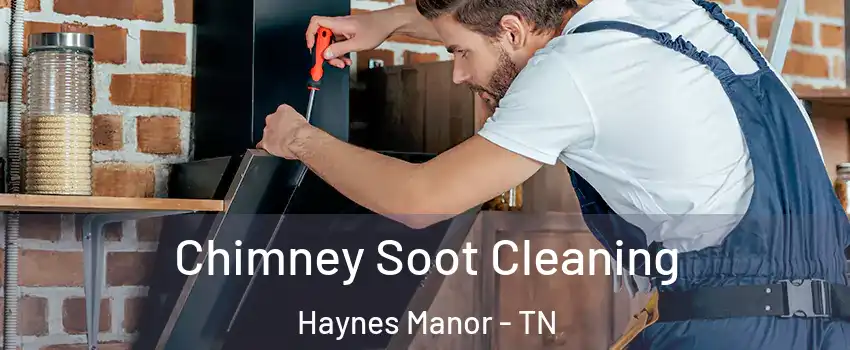 Chimney Soot Cleaning Haynes Manor - TN