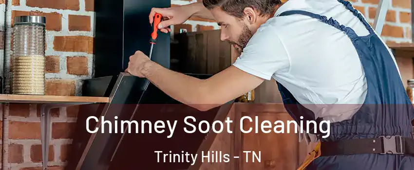 Chimney Soot Cleaning Trinity Hills - TN