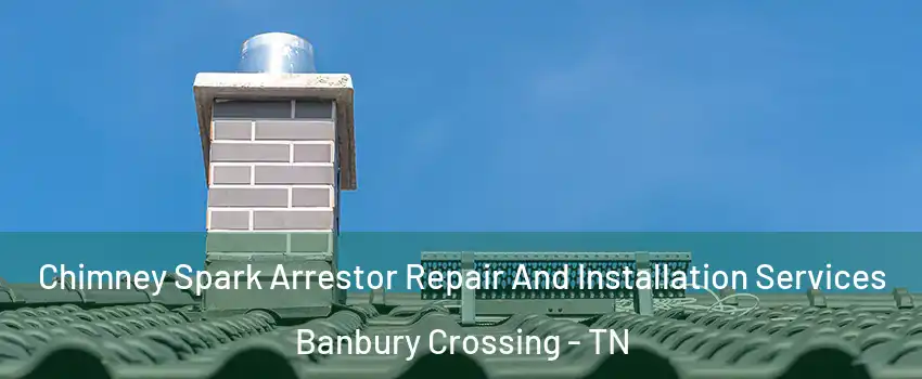 Chimney Spark Arrestor Repair And Installation Services Banbury Crossing - TN