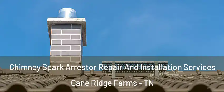 Chimney Spark Arrestor Repair And Installation Services Cane Ridge Farms - TN