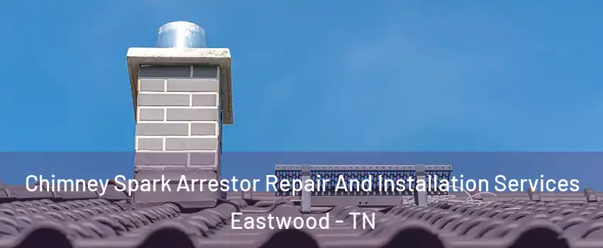 Chimney Spark Arrestor Repair And Installation Services Eastwood - TN
