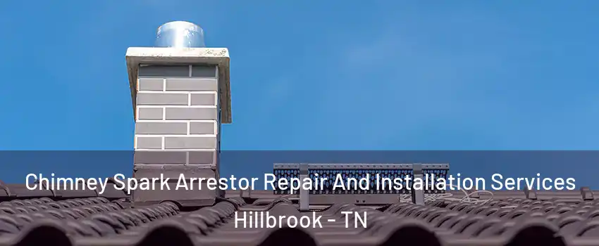 Chimney Spark Arrestor Repair And Installation Services Hillbrook - TN