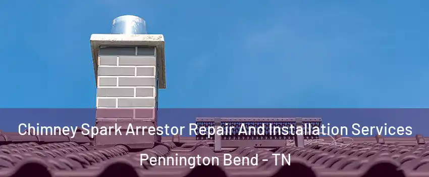 Chimney Spark Arrestor Repair And Installation Services Pennington Bend - TN