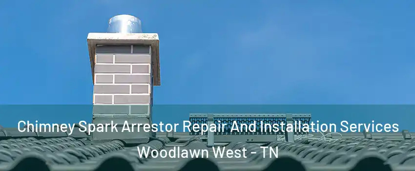 Chimney Spark Arrestor Repair And Installation Services Woodlawn West - TN