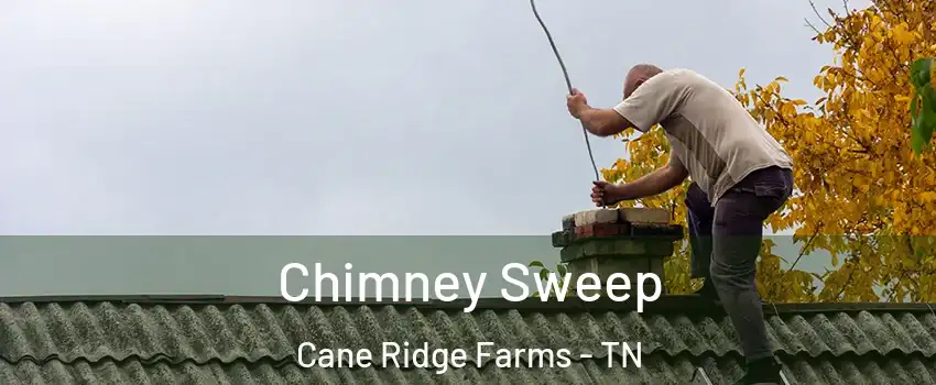 Chimney Sweep Cane Ridge Farms - TN