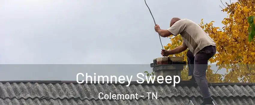Chimney Sweep Colemont - TN