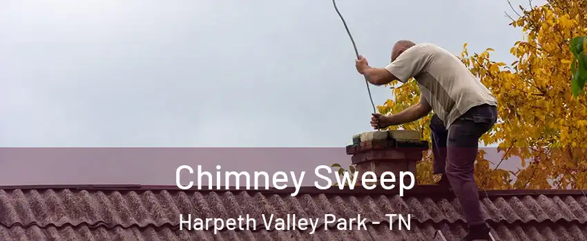 Chimney Sweep Harpeth Valley Park - TN