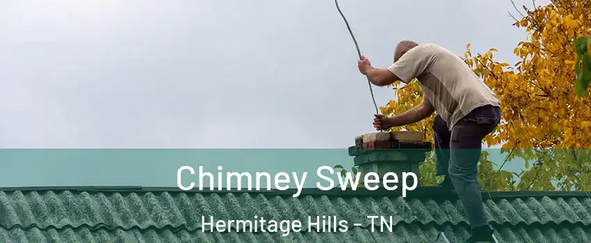 Chimney Sweep Hermitage Hills - TN
