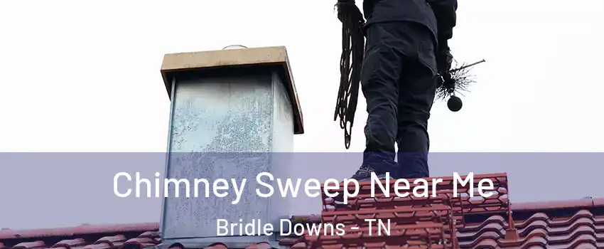 Chimney Sweep Near Me Bridle Downs - TN