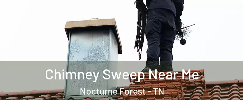 Chimney Sweep Near Me Nocturne Forest - TN