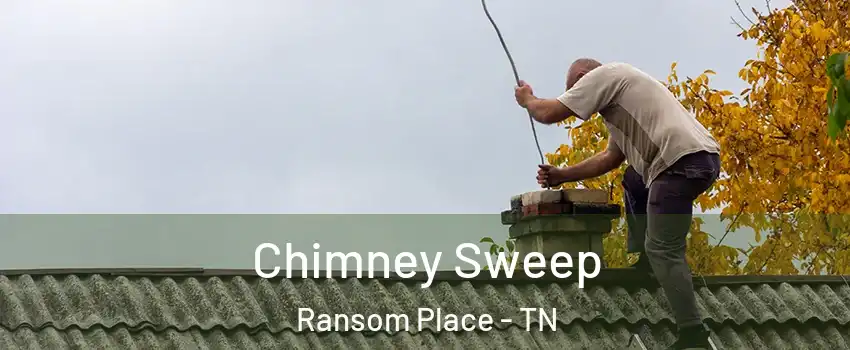 Chimney Sweep Ransom Place - TN