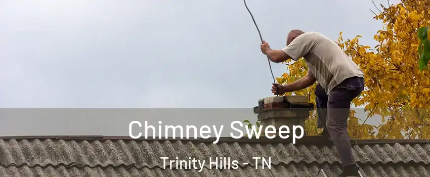 Chimney Sweep Trinity Hills - TN
