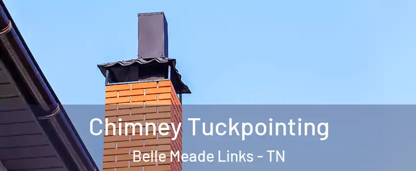 Chimney Tuckpointing Belle Meade Links - TN