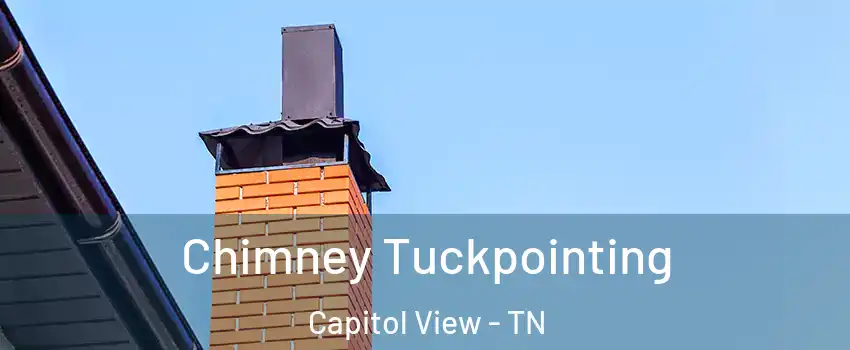 Chimney Tuckpointing Capitol View - TN