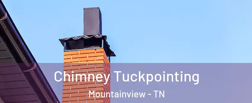 Chimney Tuckpointing Mountainview - TN
