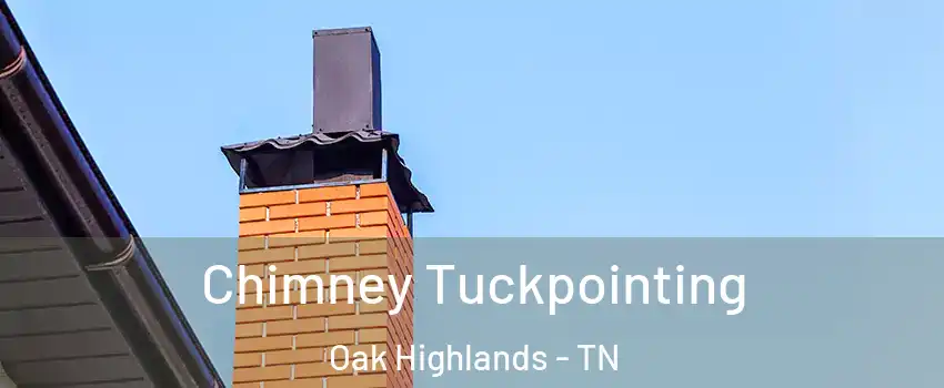 Chimney Tuckpointing Oak Highlands - TN