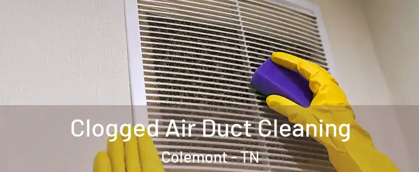 Clogged Air Duct Cleaning Colemont - TN