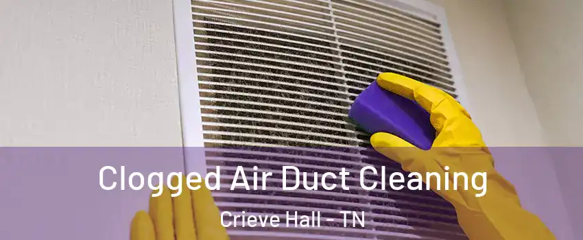Clogged Air Duct Cleaning Crieve Hall - TN