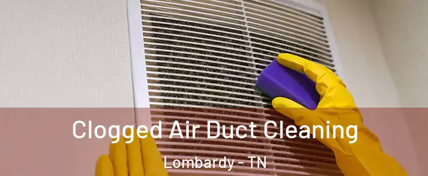 Clogged Air Duct Cleaning Lombardy - TN