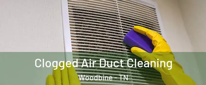 Clogged Air Duct Cleaning Woodbine - TN