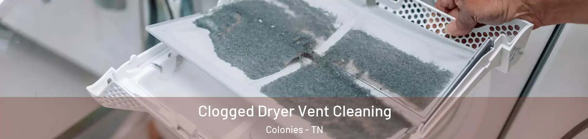 Clogged Dryer Vent Cleaning Colonies - TN