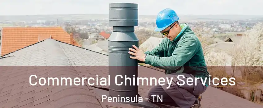 Commercial Chimney Services Peninsula - TN