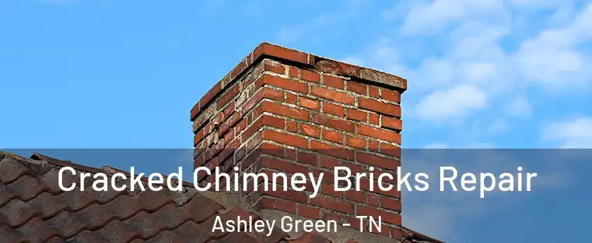 Cracked Chimney Bricks Repair Ashley Green - TN