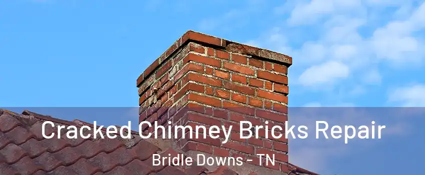 Cracked Chimney Bricks Repair Bridle Downs - TN