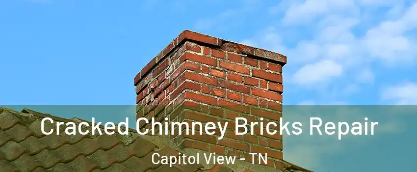 Cracked Chimney Bricks Repair Capitol View - TN