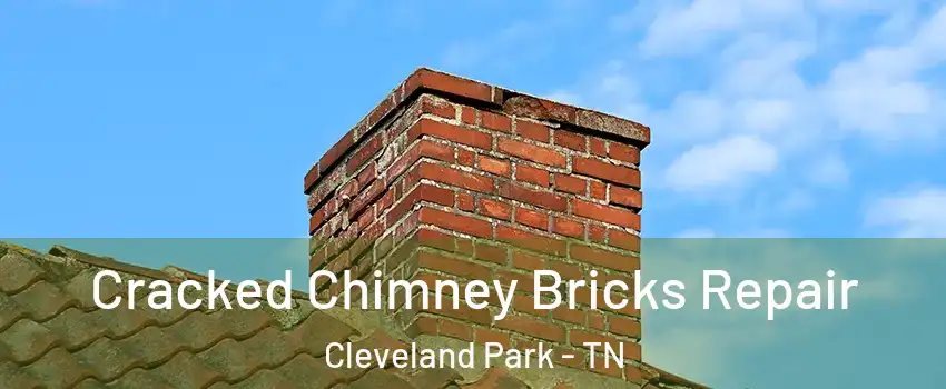Cracked Chimney Bricks Repair Cleveland Park - TN