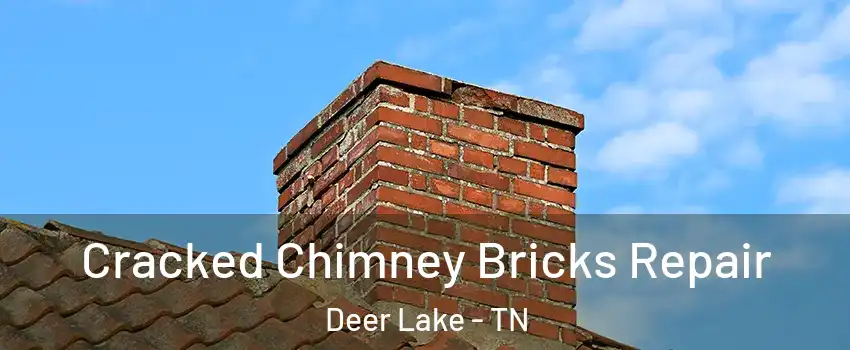 Cracked Chimney Bricks Repair Deer Lake - TN