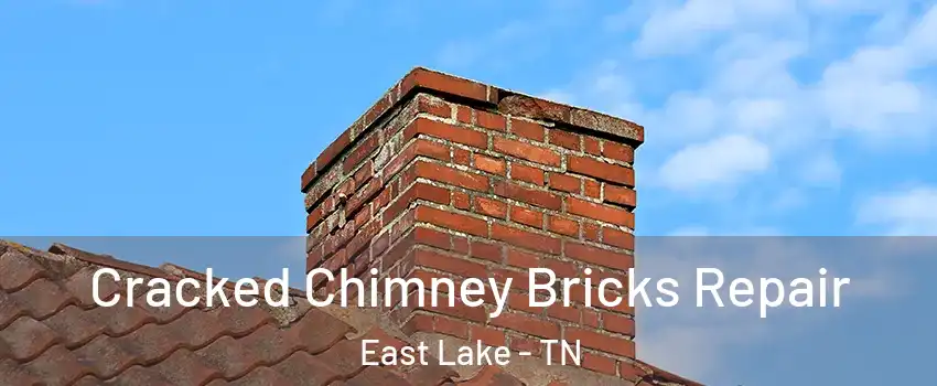 Cracked Chimney Bricks Repair East Lake - TN