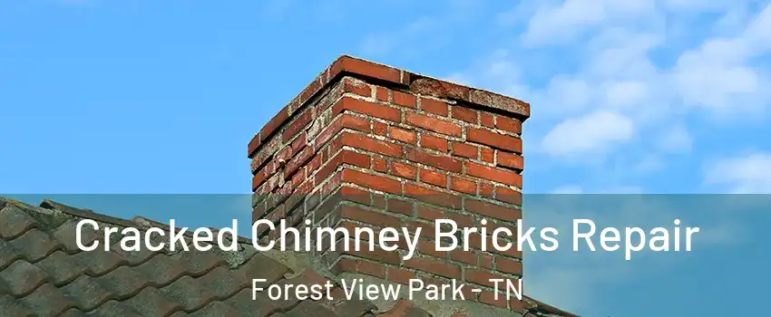 Cracked Chimney Bricks Repair Forest View Park - TN