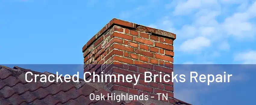 Cracked Chimney Bricks Repair Oak Highlands - TN