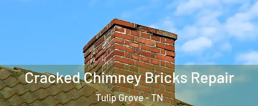 Cracked Chimney Bricks Repair Tulip Grove - TN