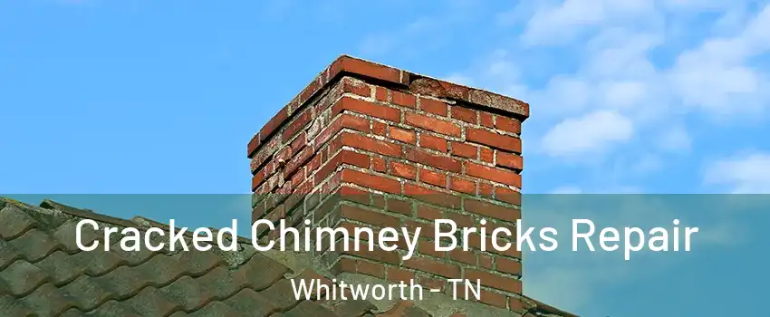Cracked Chimney Bricks Repair Whitworth - TN