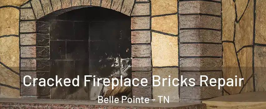 Cracked Fireplace Bricks Repair Belle Pointe - TN