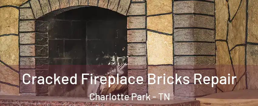 Cracked Fireplace Bricks Repair Charlotte Park - TN