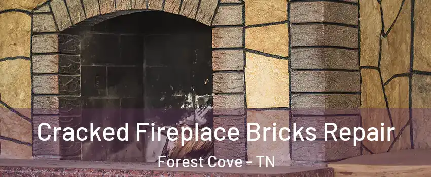 Cracked Fireplace Bricks Repair Forest Cove - TN