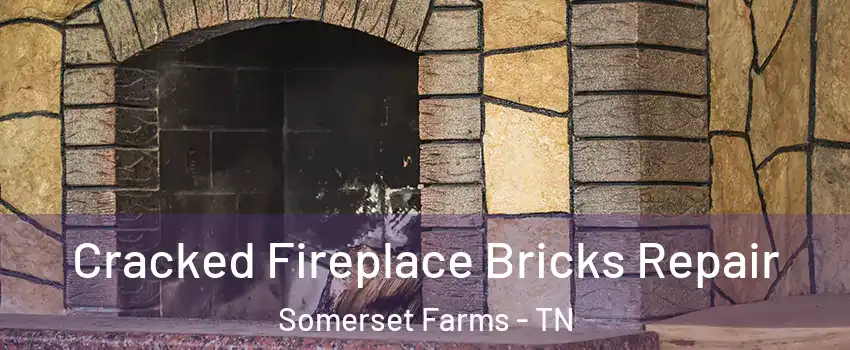 Cracked Fireplace Bricks Repair Somerset Farms - TN