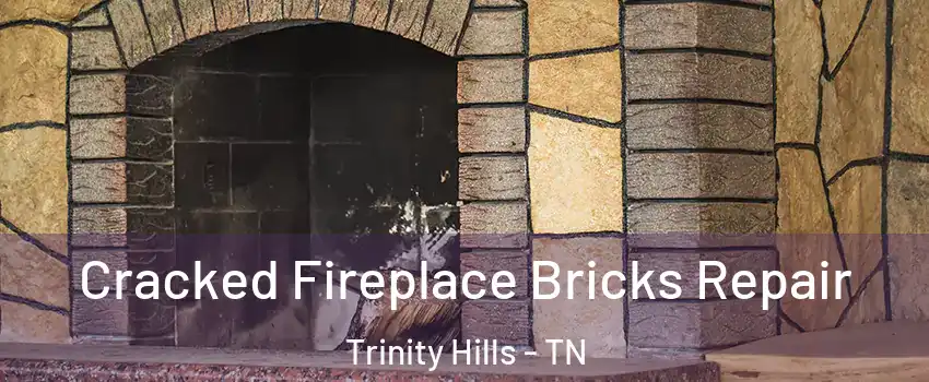 Cracked Fireplace Bricks Repair Trinity Hills - TN