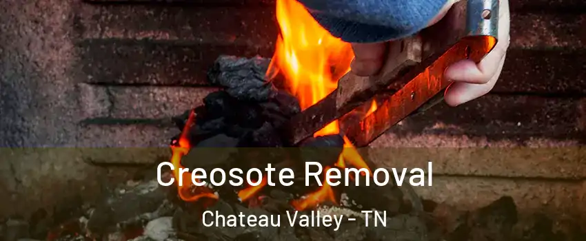 Creosote Removal Chateau Valley - TN