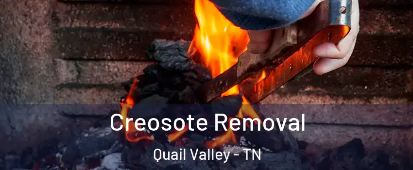 Creosote Removal Quail Valley - TN