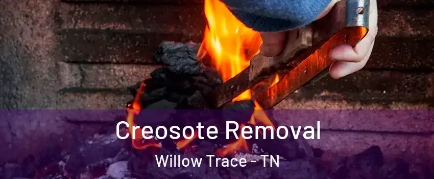 Creosote Removal Willow Trace - TN